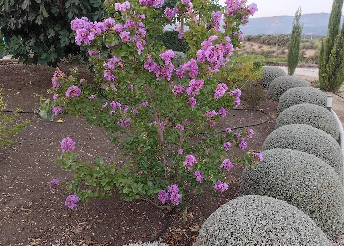 La Marabulla Prázdninový dům *