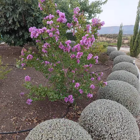La Marabulla Сasa de vacaciones *
